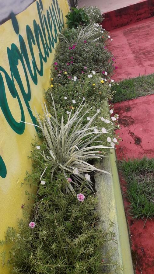 Pousada Tropicaliente Alter do Chao Exterior photo